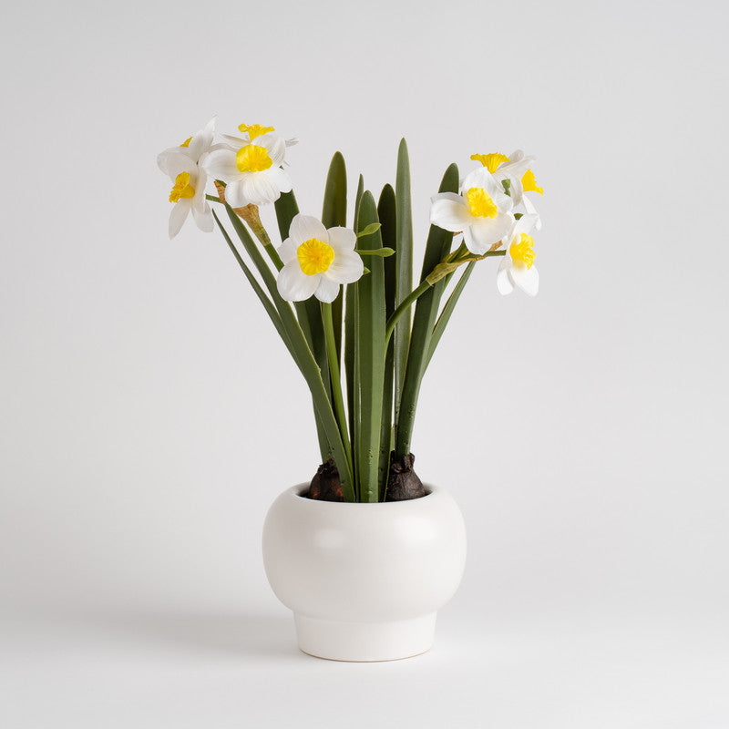 42cm Artificial Daffodil Spray in Ceramic Pot
